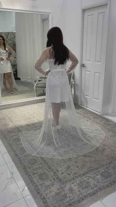 Long Sleeve Tulle Photoshoot full length dress